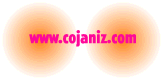 www.cojaniz.com